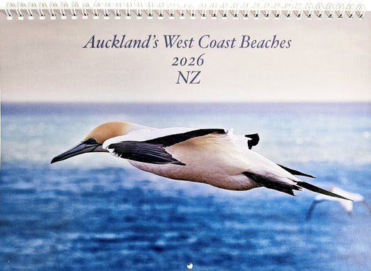 Calendar: Auckland's West Coach Beaches 2026