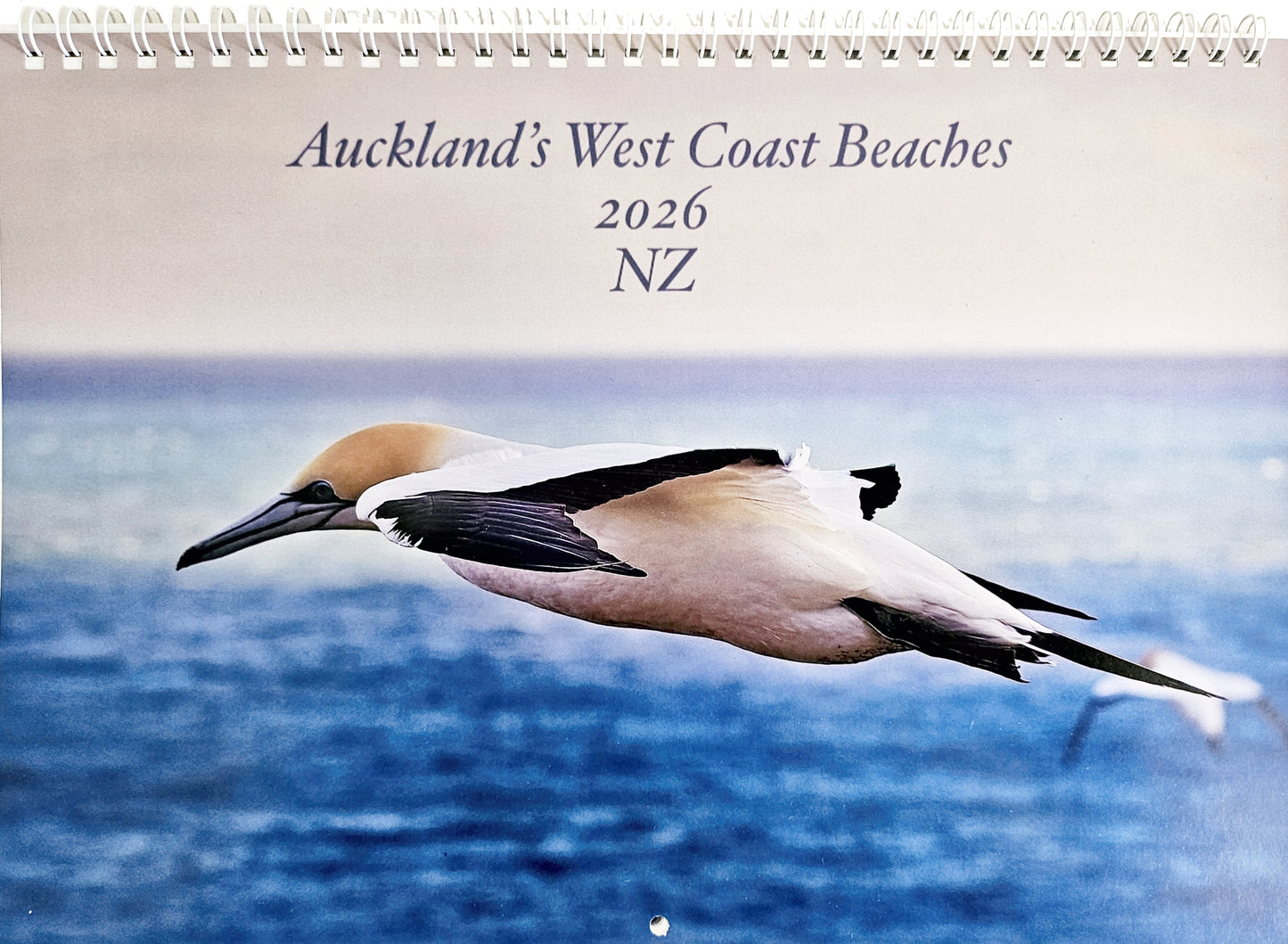 Calendar: Auckland's West Coach Beaches 2026